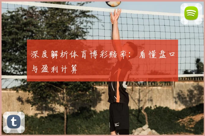 深度解析体育博彩赔率：看懂盘口与盈利计算