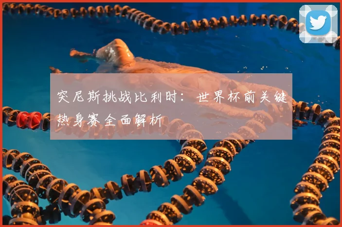 突尼斯挑战比利时：世界杯前关键热身赛全面解析