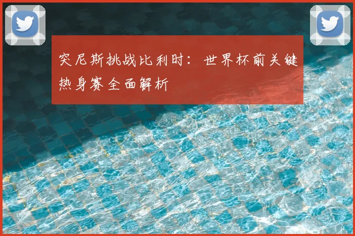 突尼斯挑战比利时：世界杯前关键热身赛全面解析