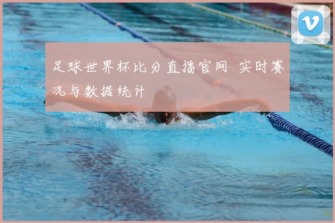 足球世界杯比分直播官网 实时赛况与数据统计