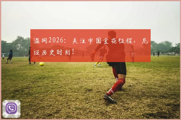 温网2026:关注中国金花征程,见证历史时刻!